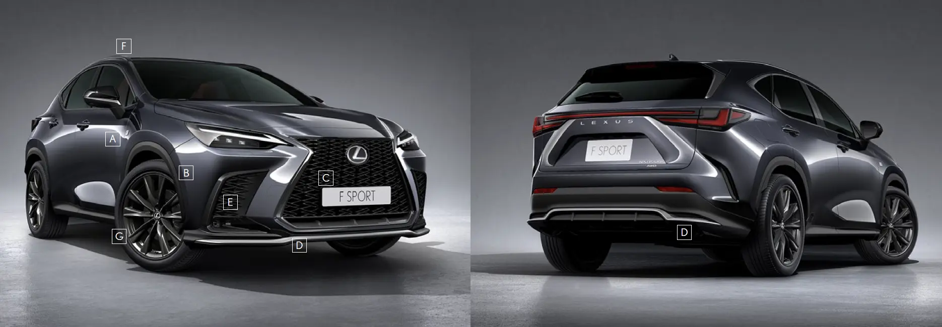 2026-lexus-nx-f-sport-design-car-back-catalogue
